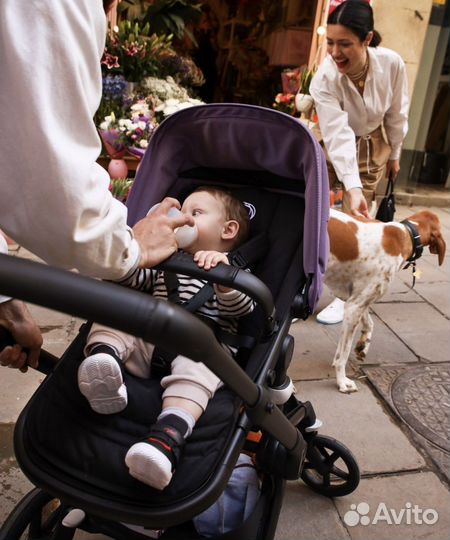 Bugaboo fox 5 2в1