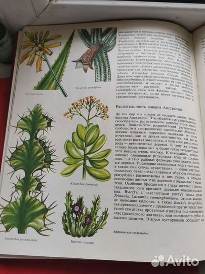 Растительный мир земли, 2 тома