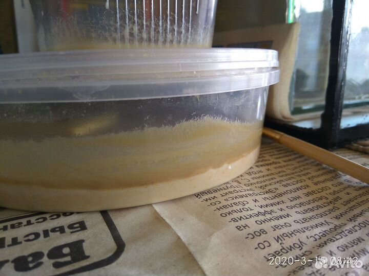 Гуппи и нематода