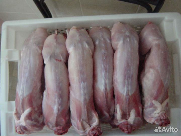 Мясо кролика