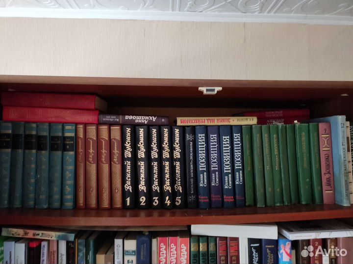 Русская и зарубежная литература (разные жанры)