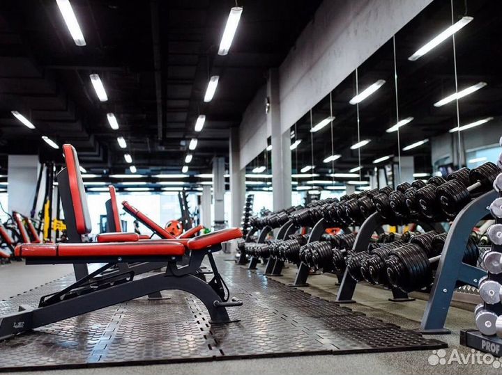 Абонемент в фитнес клуб powerhouse gym