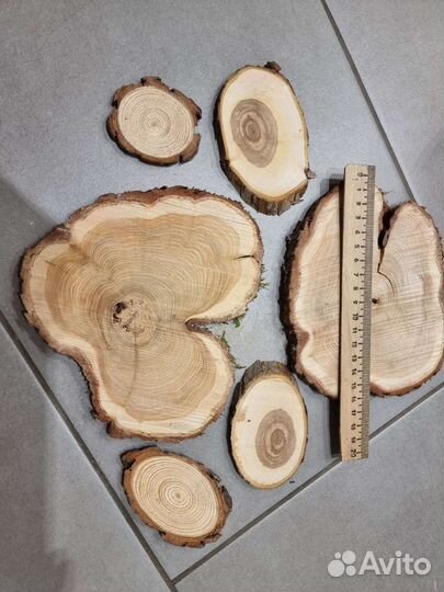 Спилы дерева. Можжевельник