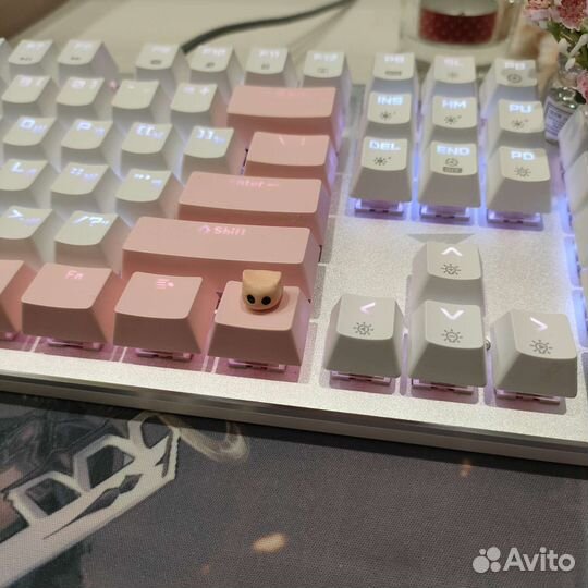 Кейкап котик