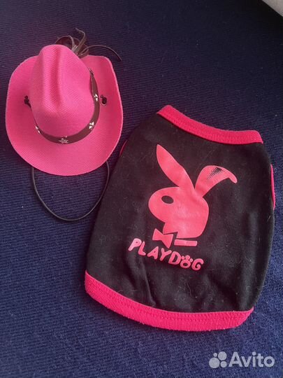 Одежда для маленьких собак