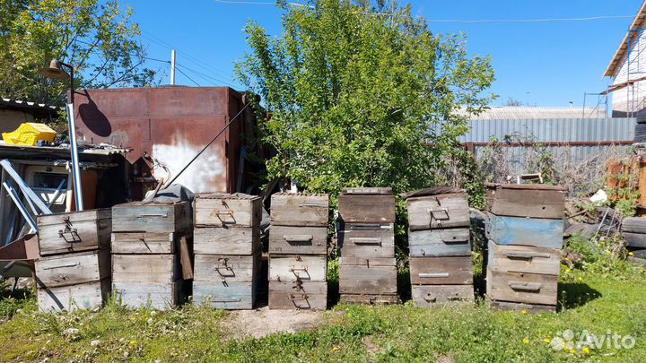 Продам ульи для пчел
