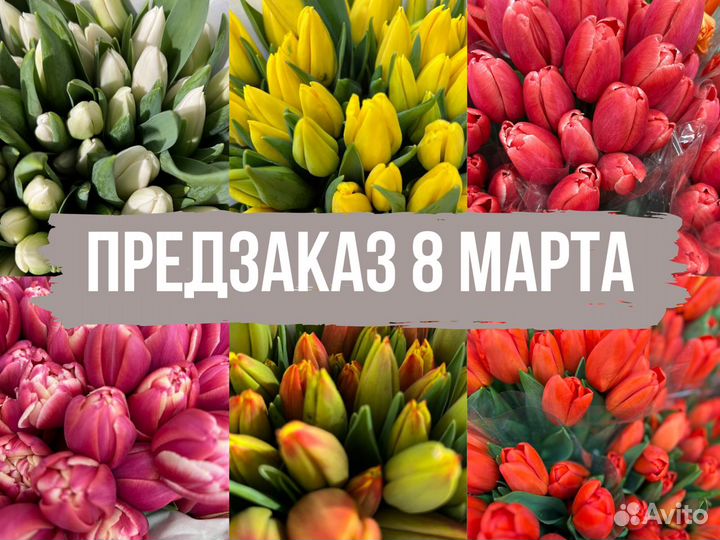 Доставка цветов тюльпаны