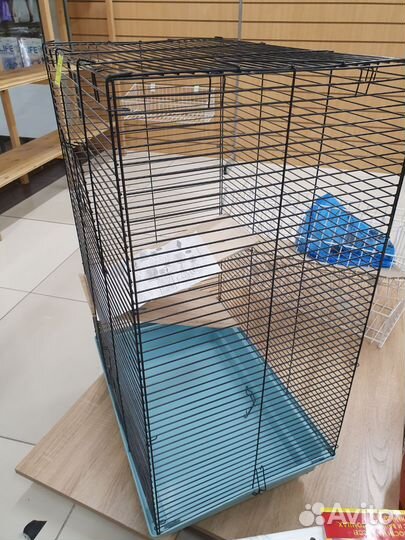 Клетка