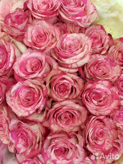 Оптовые поставки цветов от производителей