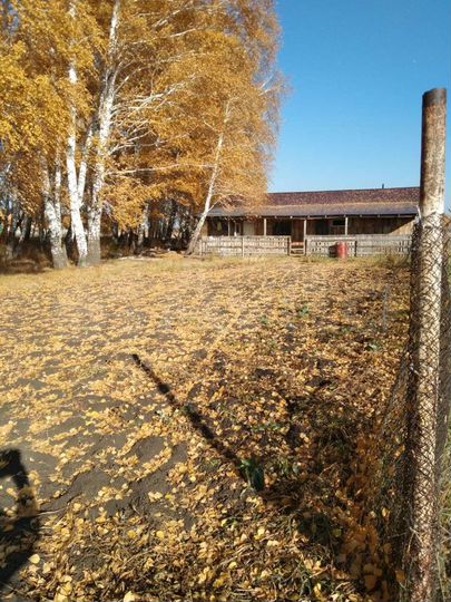 Дача 100 м² на участке 15 сот.