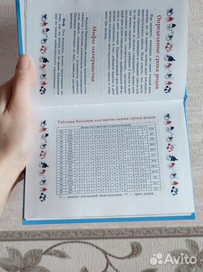 Ежедневник