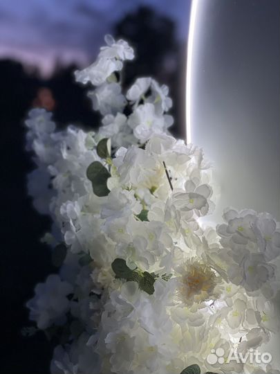 Аренда фотозоны