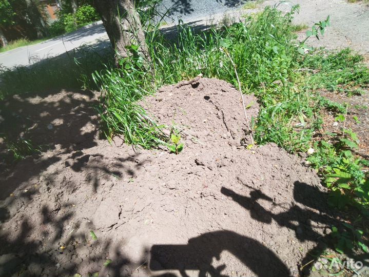 Перегной сыпец,жирный чернозем газель,камаз,ЗИЛ 6Т