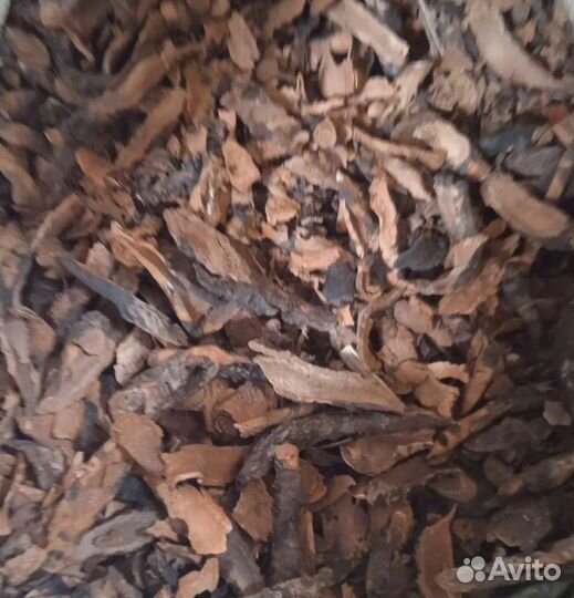 Корень бадана резанный сухой 100г