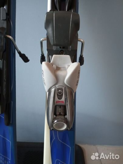 Горные лыжи