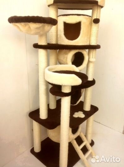 Супер когтеточка комплекс 