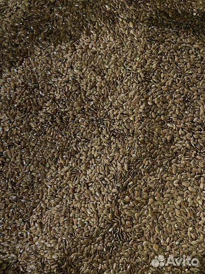 Семена Льна