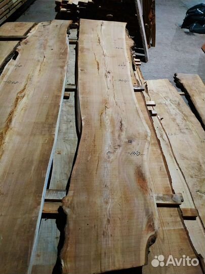 Слэбы Кавказского Карагача высушены