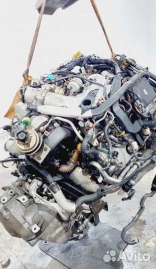 Двигатель Opel Signum 2005 Y30DT 3.0