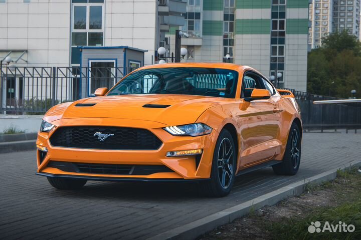 Ford Mustang 2.3 МТ, 2019, 50 960 км