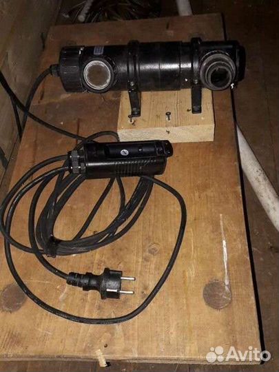 Разведение рыбы дома