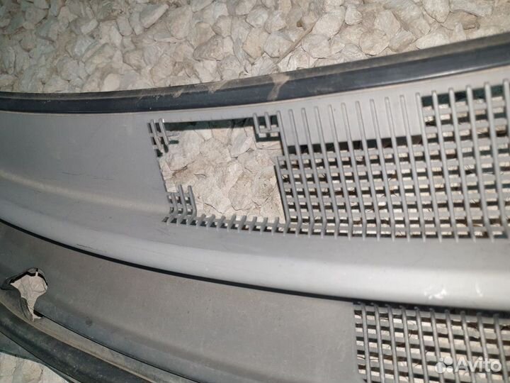 Жабо Чери Вери