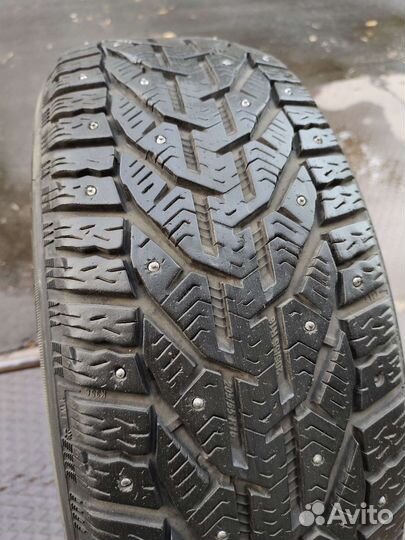Tigar Ice 205/55 R16