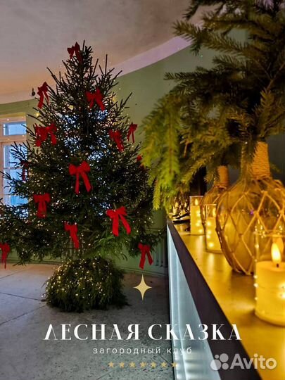 Аренда зала под мероприятие