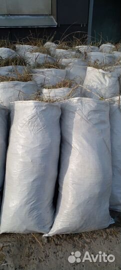 Сено пропаренное, подстилка для собак