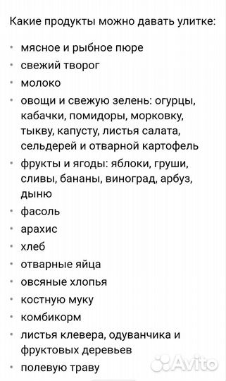 Улитки ахатины