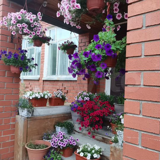 Дом 324 м² на участке 15 сот.