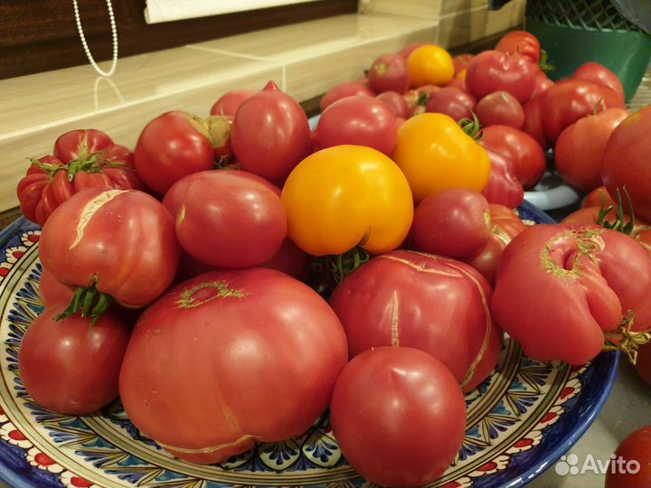 Помидоры домашние