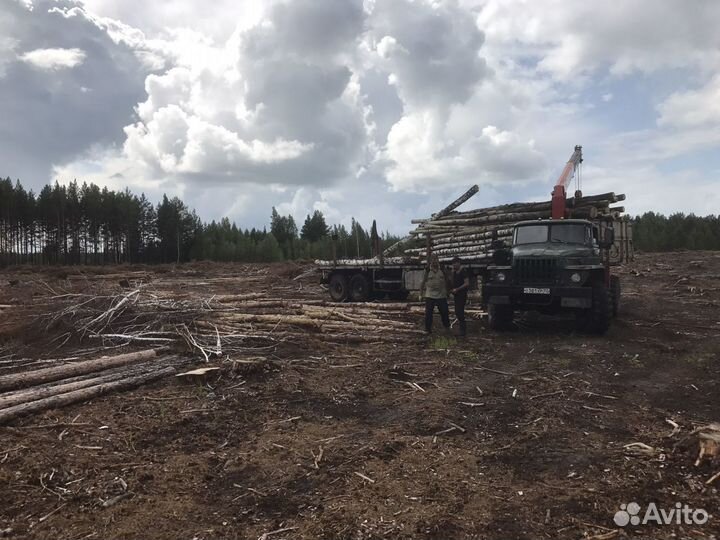 Перевозки леса,буровых урал полуприцеп 12м кон