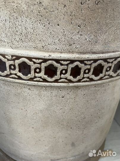 Юкка пальма