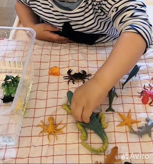 Педагог раннего развития