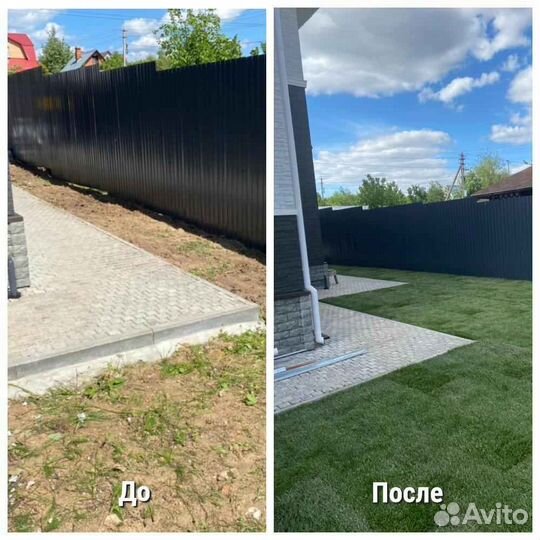 Рулонный газон элитный