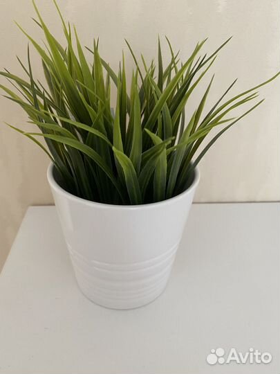 Искуственое растение fejka фейка IKEA 2 шт