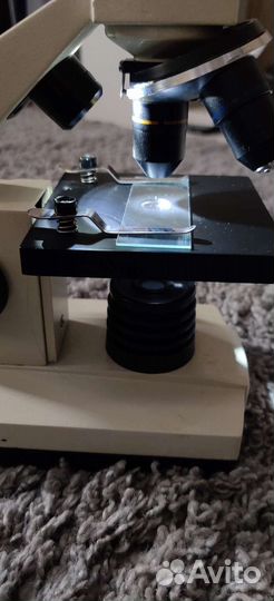 Микроскоп Levenhuk 2L Rainbow