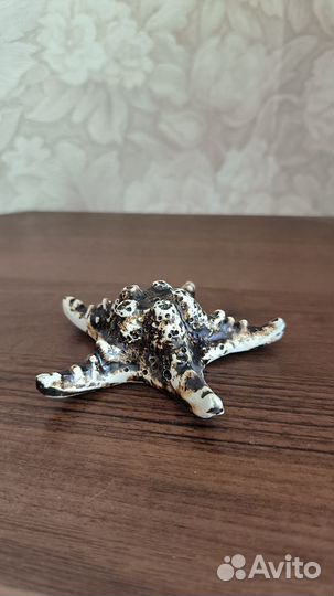 Декорации для аквариума морская звезда