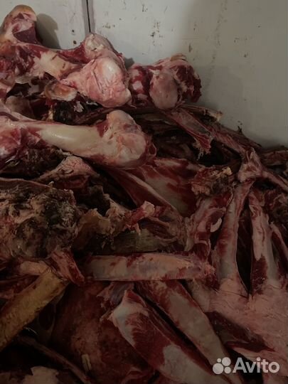 Мясо и кости для собак