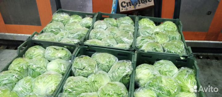 Айсберг салат