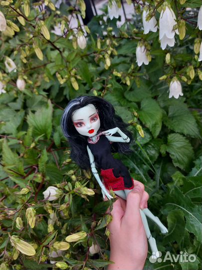 Монстр хай ооак