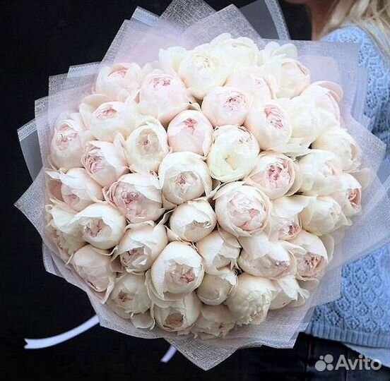 Пионы Букет пионов