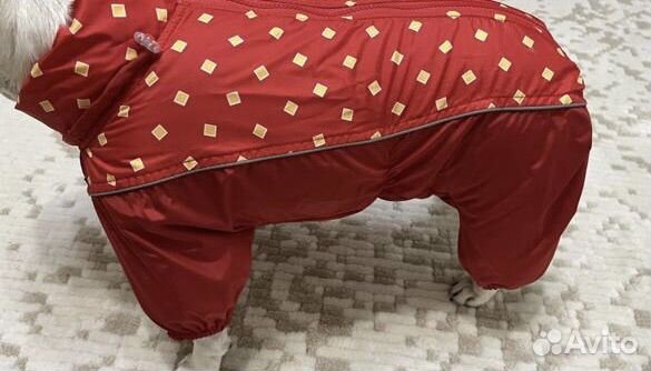 Комбинезон для собаки Тузик зима, осень и шлейка