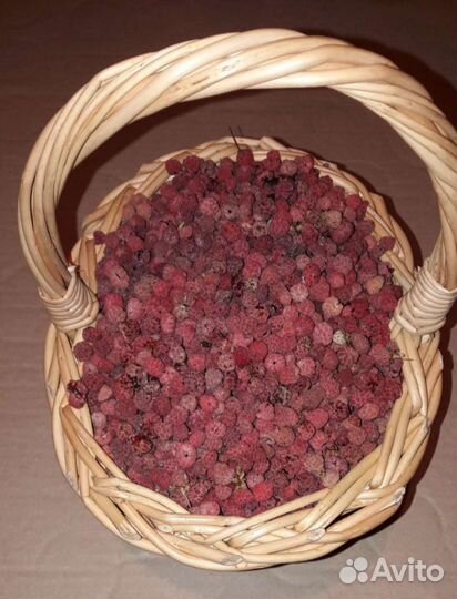 Малина сушёная лесная