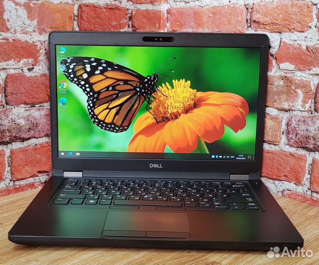 Dell latitude win 10 для игр учебы работы Ноутбук