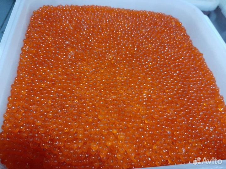 Икра горбуши оптом