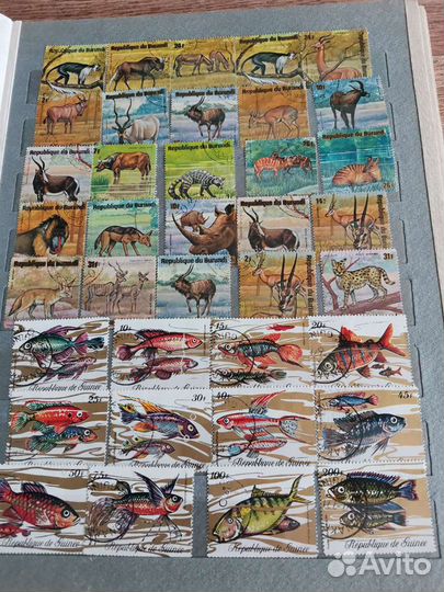 Альбом марки (коллекция)