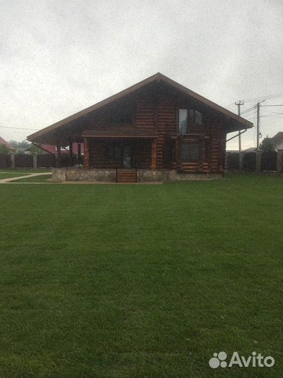 Укладка и продажа газона эконом