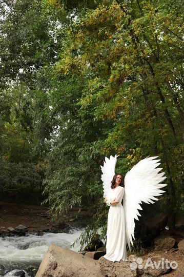 Крылья ангела в аренду